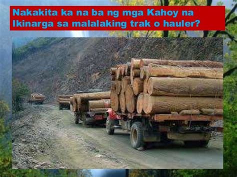 nakakalbong kagubatan|Kahulugan ng panggugubat .